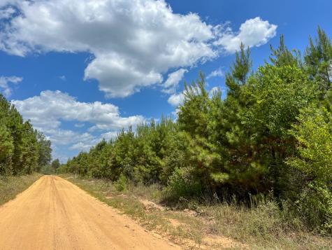00000 County Road 1420 Warren TX 77664
