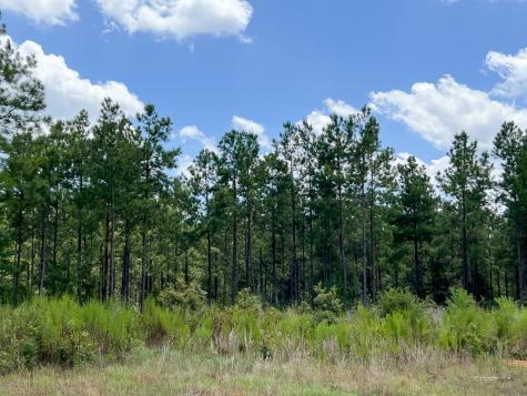00000 County Road 1420 Warren TX 77664