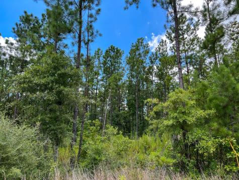 00000 County Road 1420 Warren TX 77664