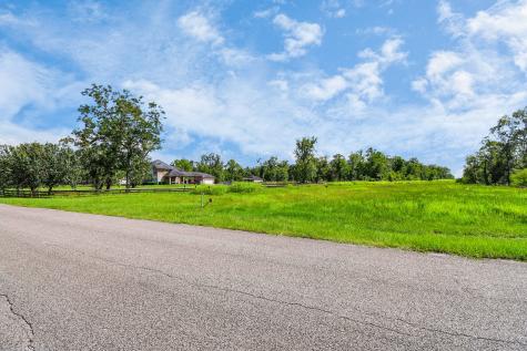 1215 China Grove Drive Rosharon TX 77583
