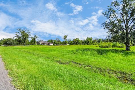 1215 China Grove Drive Rosharon TX 77583