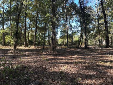 27316 Frye Road Splendora TX 77372