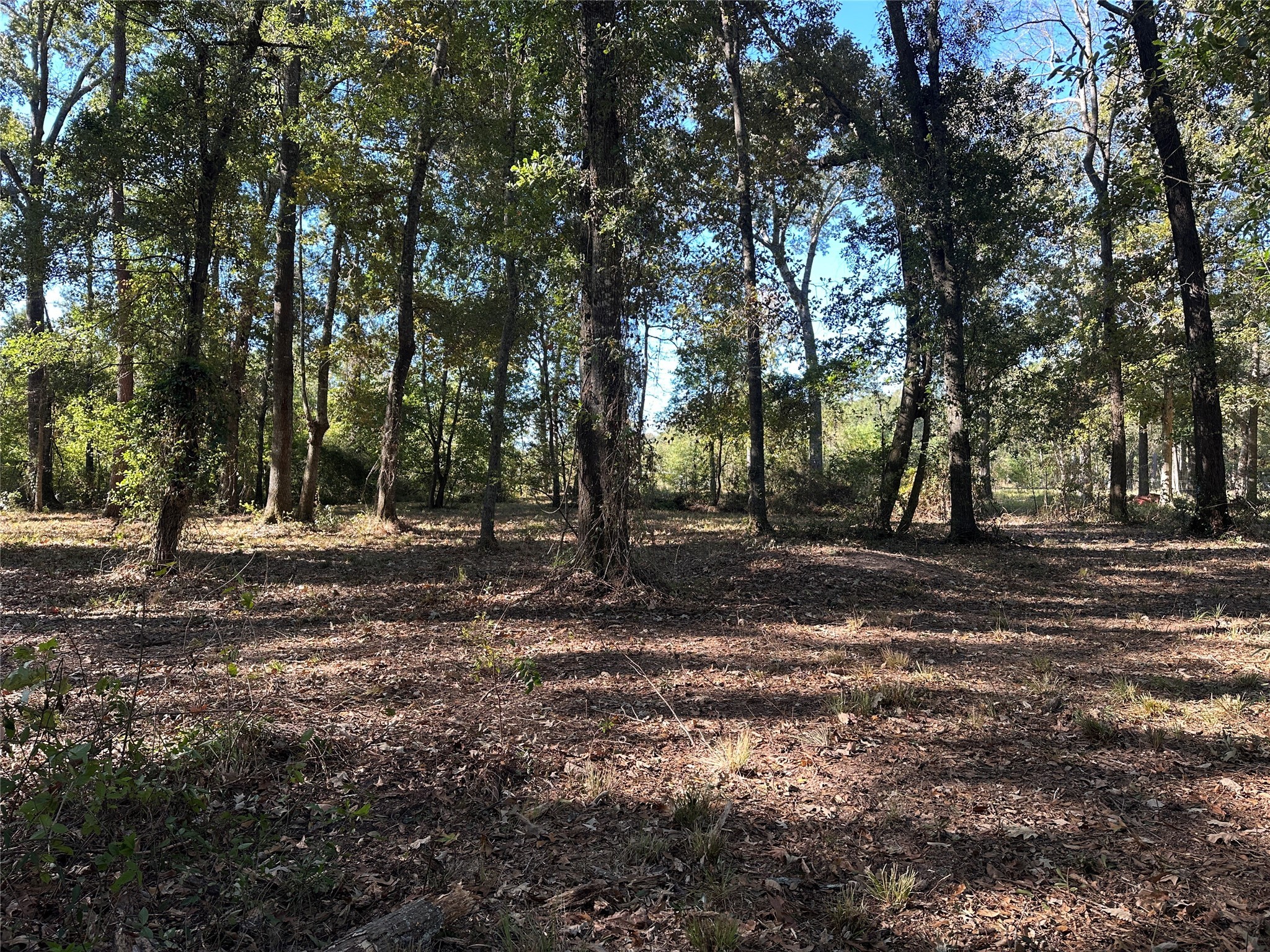 27316 Frye Road Splendora TX 77372