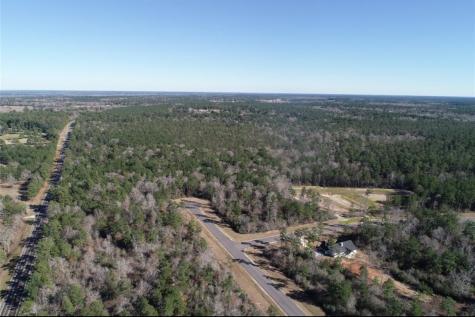 317 Iron Horse Road New Waverly TX 77358