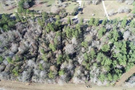 317 Iron Horse Road New Waverly TX 77358