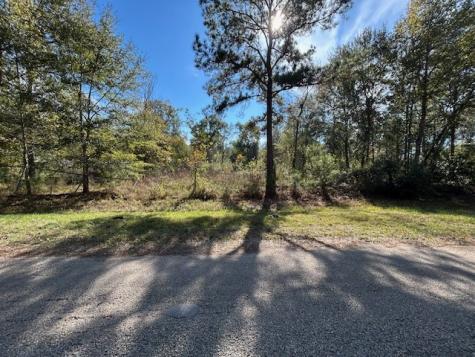 1964 County Road 3434 North Cleveland TX 77327