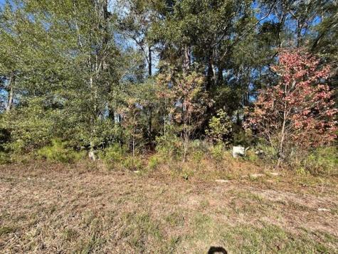 1964 County Road 3434 North Cleveland TX 77327