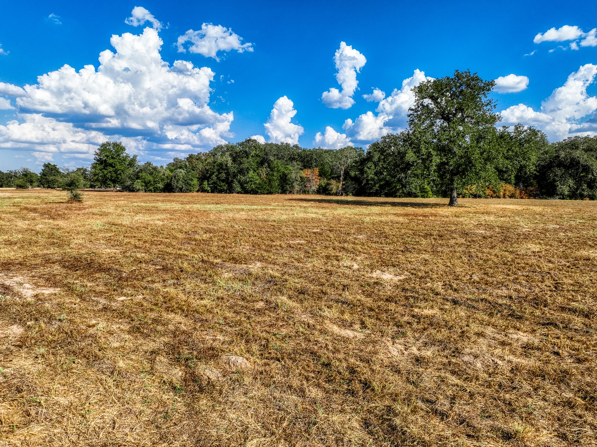 211 Feder Way West Point TX 78963