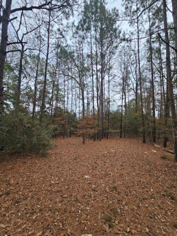 263 Wishing Trail Livingston TX 77351