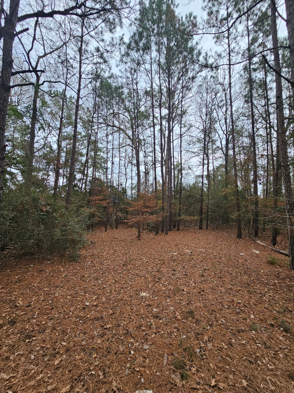 263 Wishing Trail Livingston TX 77351