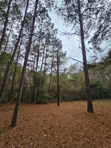 263 Wishing Trail Livingston TX 77351