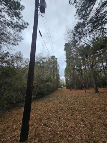 263 Wishing Trail Livingston TX 77351