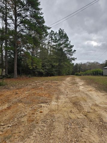 263 Wishing Trail Livingston TX 77351