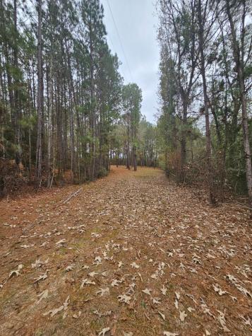 263 Wishing Trail Livingston TX 77351