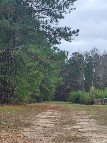 263 Wishing Trail Livingston TX 77351