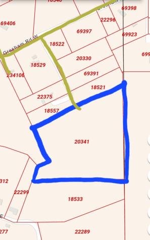 263 Wishing Trail Livingston TX 77351