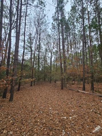 263 Wishing Trail Livingston TX 77351