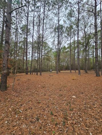 263 Wishing Trail Livingston TX 77351