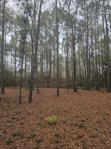 263 Wishing Trail Livingston TX 77351