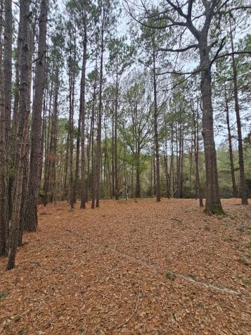 263 Wishing Trail Livingston TX 77351