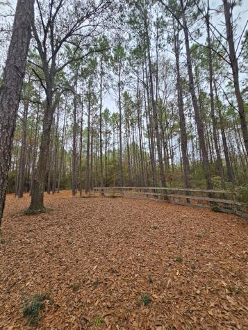263 Wishing Trail Livingston TX 77351