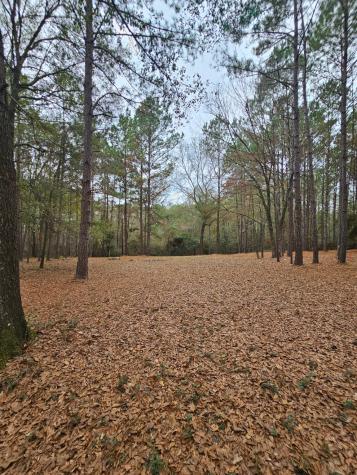 263 Wishing Trail Livingston TX 77351
