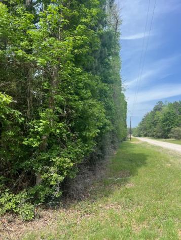 0 Conway Road Livingston TX 77351
