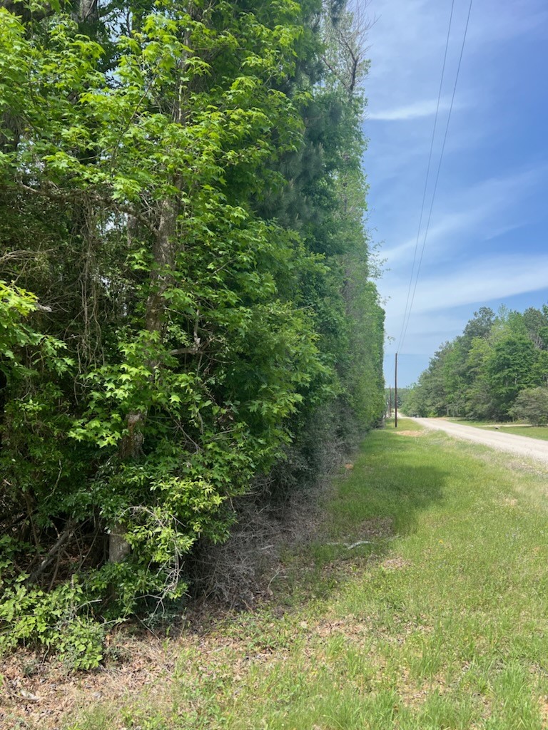 0 Conway Road Livingston TX 77351