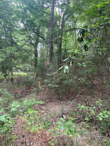 0 Conway Road Livingston TX 77351