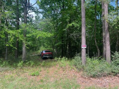 0 Conway Road Livingston TX 77351