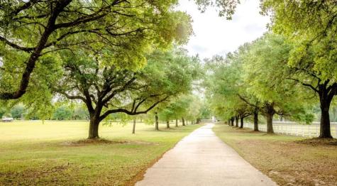 Tbd Lakeside Court Lot 182 Hillister TX 77624