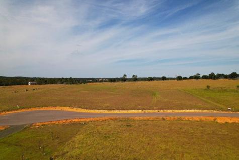 Tbd Lakeside Court Lot 182 Hillister TX 77624
