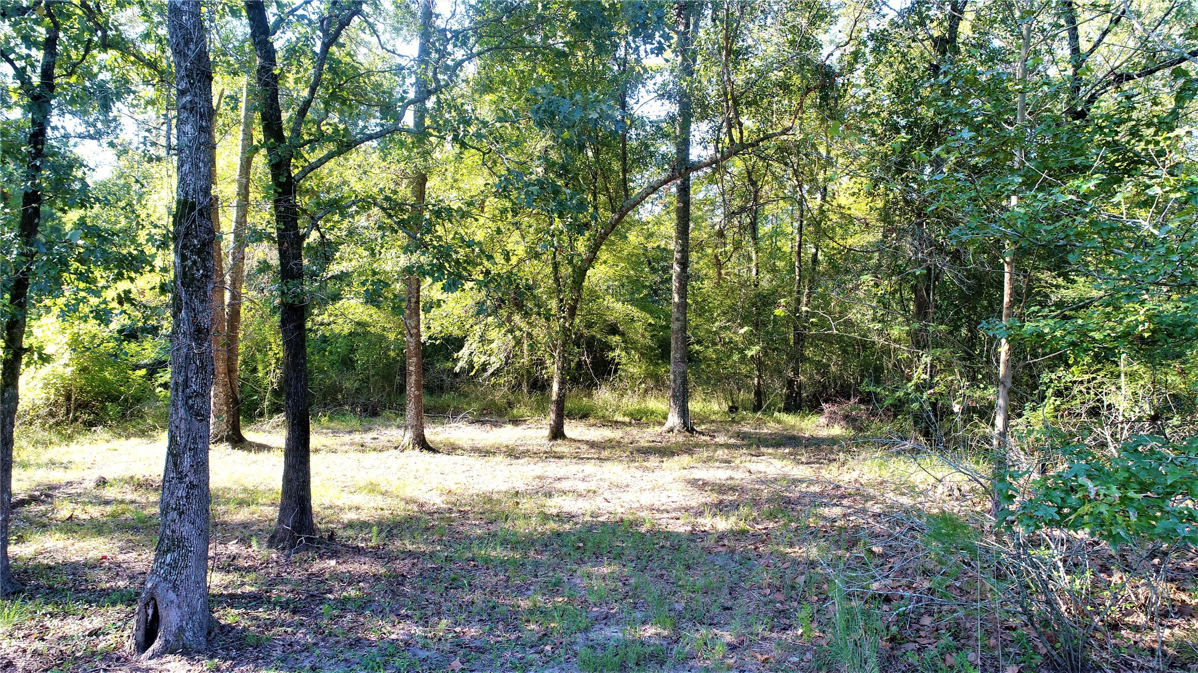 505 County Road 4529 Crockett TX 75835