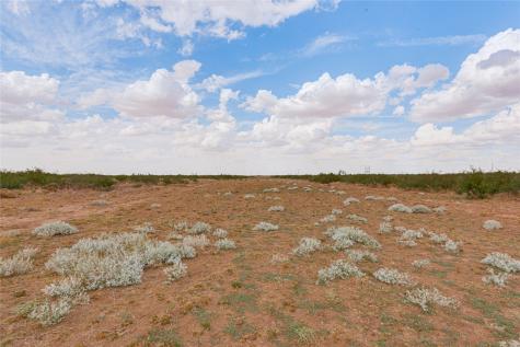 Tbd 338ac Fm-1379 Midland TX 79706