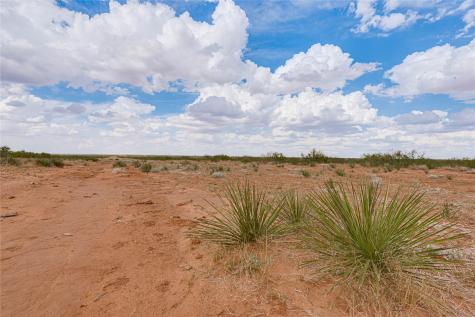 Tbd 338ac Fm-1379 Midland TX 79706