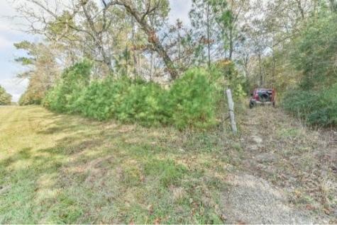 16400 E Fm 1097 Road Willis TX 77378