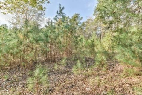 16400 E Fm 1097 Road Willis TX 77378