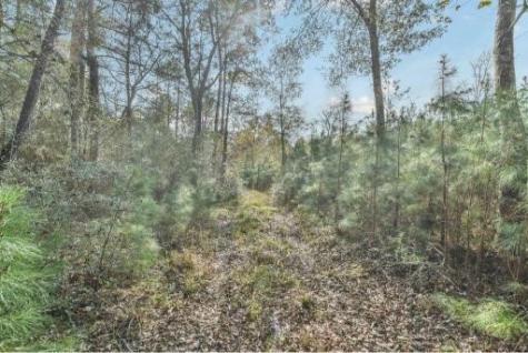 16400 E Fm 1097 Road Willis TX 77378