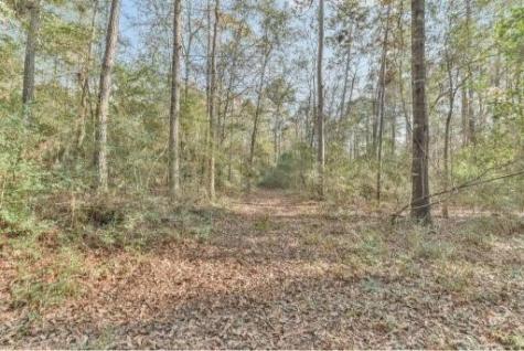 16400 E Fm 1097 Road Willis TX 77378