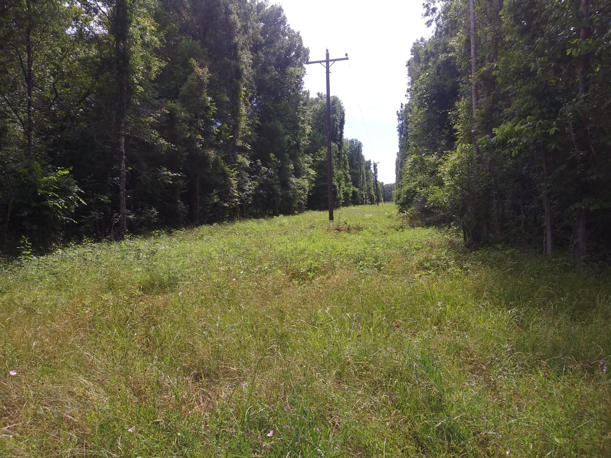 Tbd County Road 2853 Cleveland TX 77327