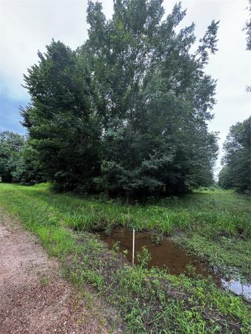 Tbd County Road 2853 Cleveland TX 77327