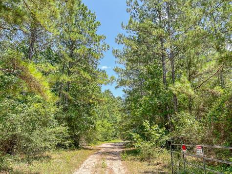 05 Creek 364e Zavalla TX 75980