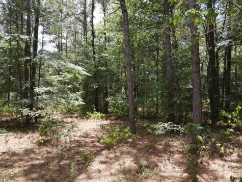 11354 County Road 351 Plantersville TX 77363