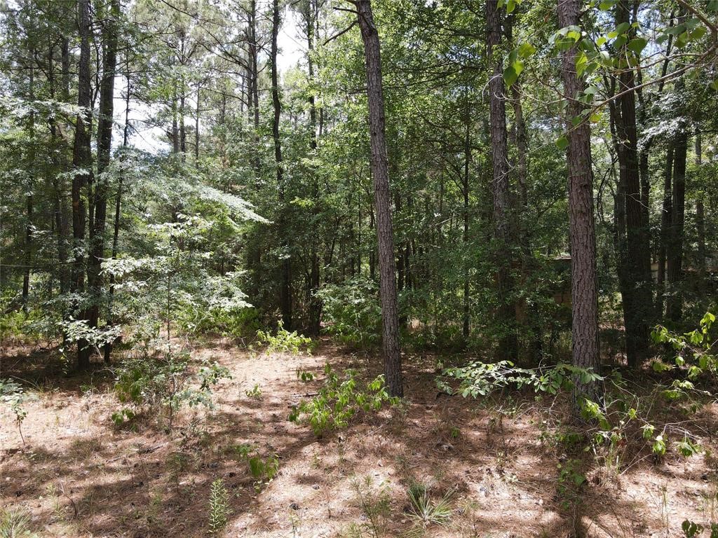 11354 County Road 351 Plantersville TX 77363