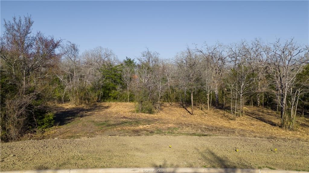 3325 Stephans Crossing Bryan TX 77807