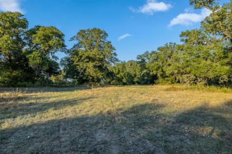 110 Drake Lane - Lot 25 Round Top TX 78954