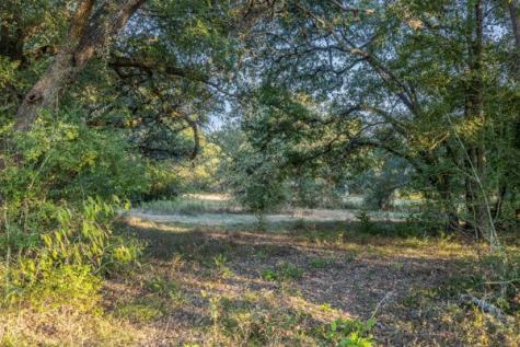 110 Drake Lane - Lot 25 Round Top TX 78954