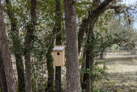 110 Drake Lane - Lot 25 Round Top TX 78954