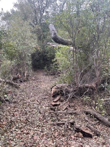 Tbd Donahoe Road Bartlett TX 76511