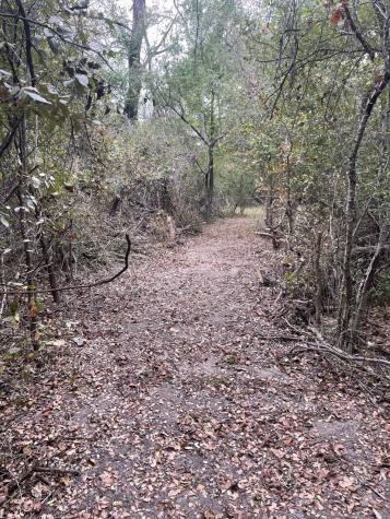 Tbd Donahoe Road Bartlett TX 76511